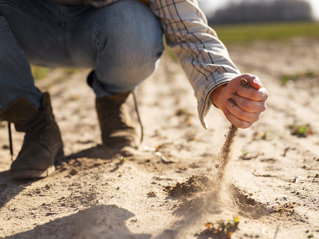 soluciones sequia sector agroalimentario españa copersa