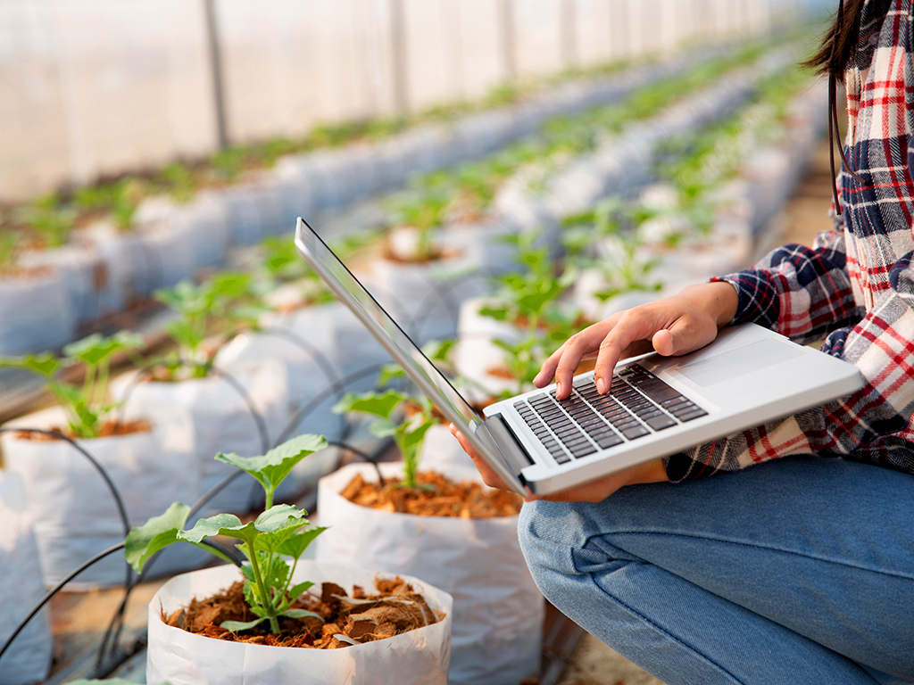 Como aumentar la productividad de los cultivos con agricultura de precisión