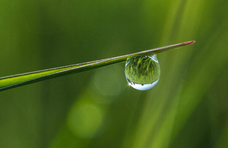 Cómo ahorrar agua en agricultura optimizando el sistema de riego · Copersa