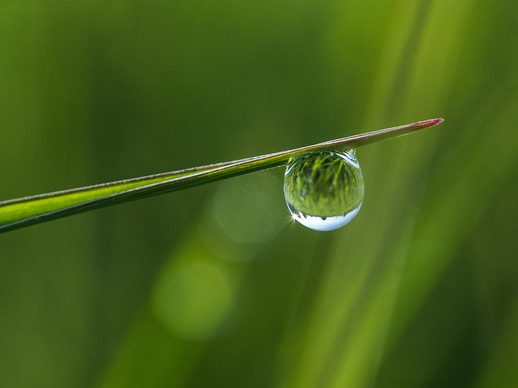 Cómo ahorrar agua en agricultura optimizando el sistema de riego · Copersa