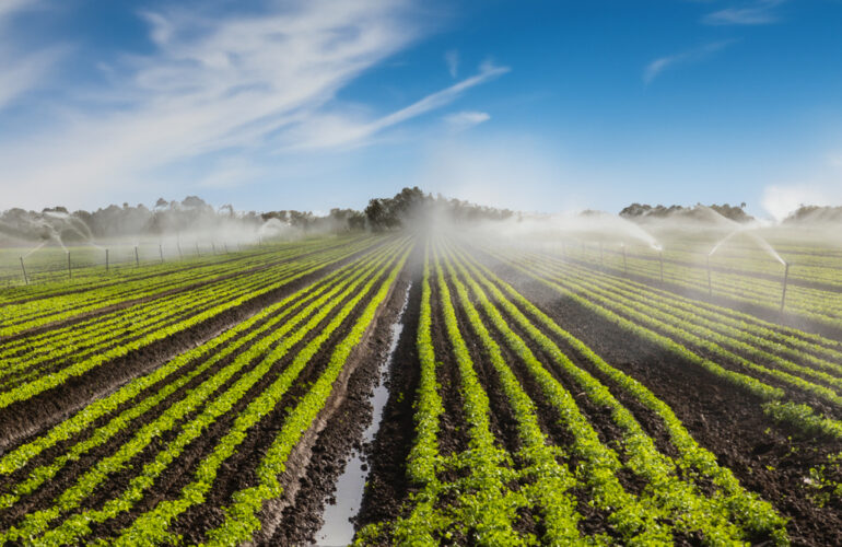 Preparacion y mantenimiento de instalaciones de riego agricola - Temporada de riego agricola en Espana - Copersa