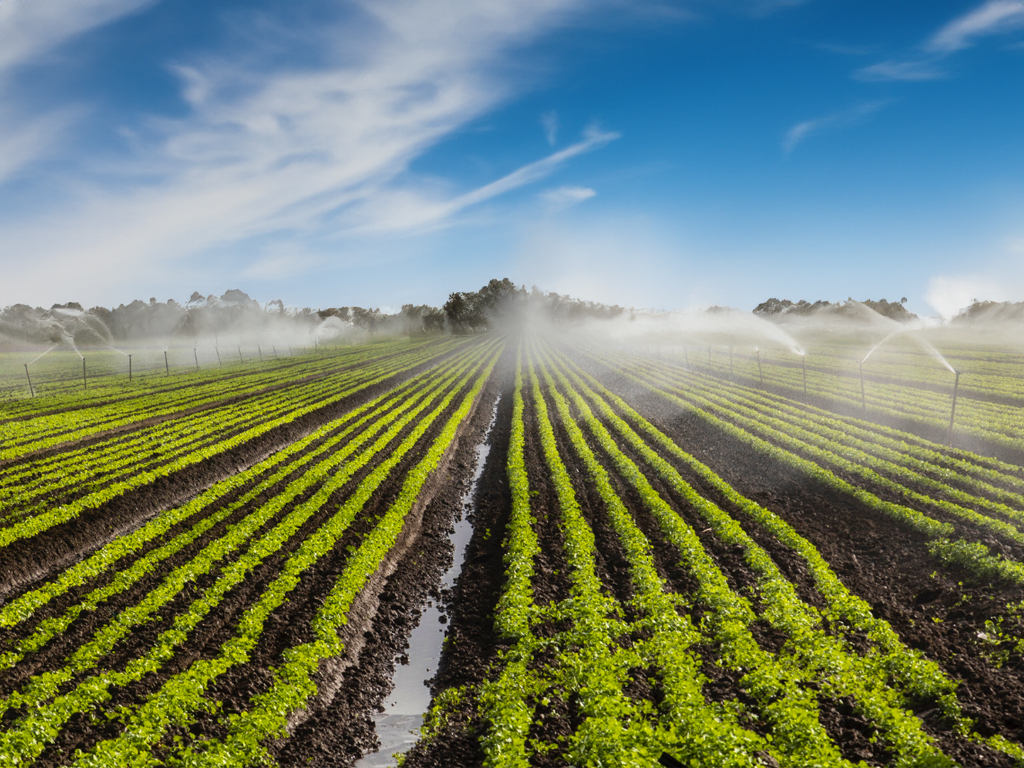 Preparacion y mantenimiento de instalaciones de riego agricola - Temporada de riego agricola en Espana - Copersa